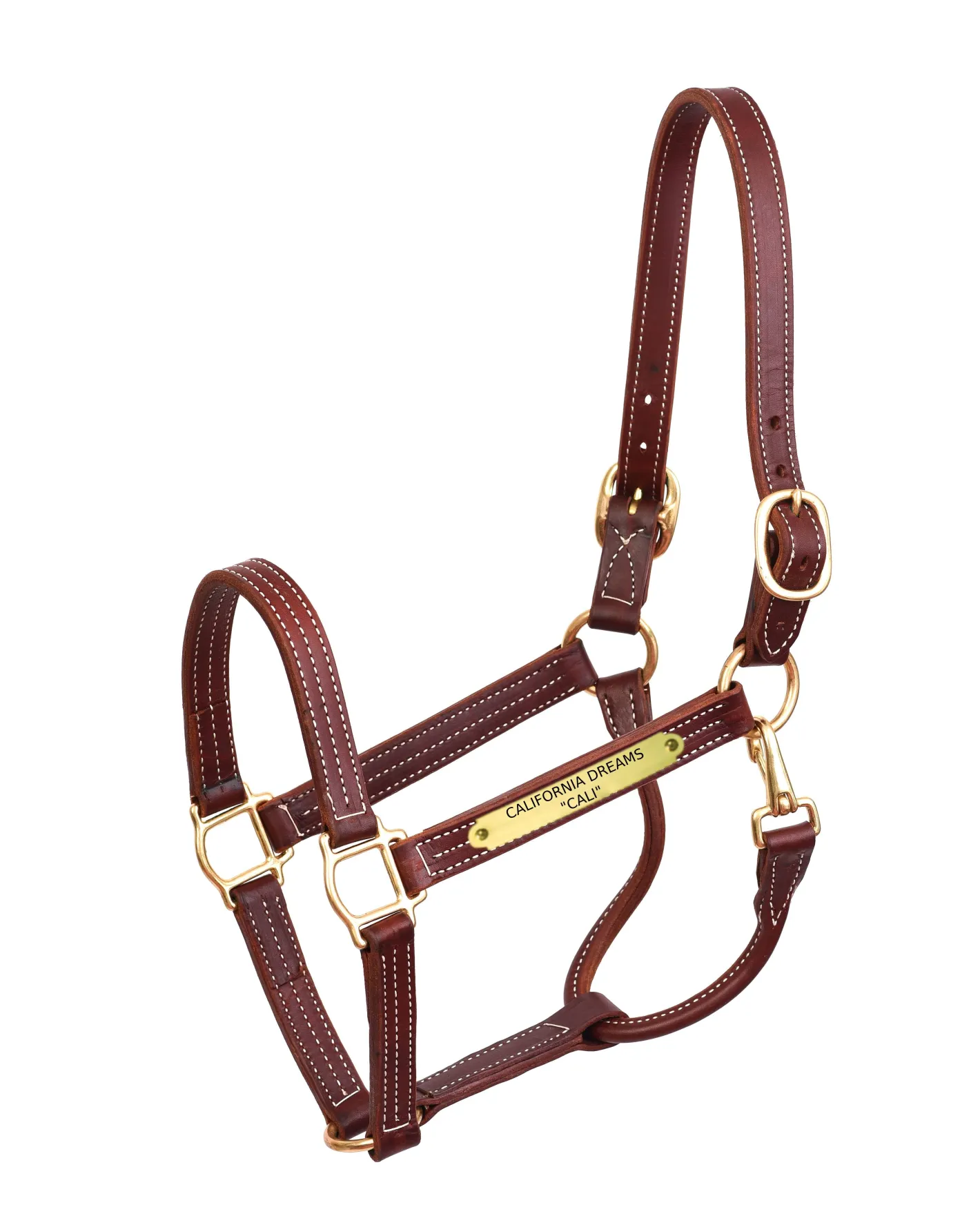 PERRIS LEATHER Perri’s® Professional Halter with Nameplate
