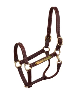 PERRIS LEATHER Perri’s® Professional Halter with Nameplate