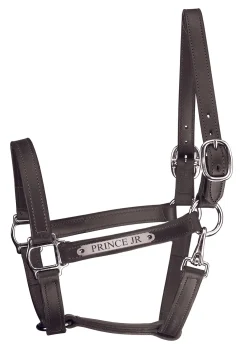 PERRIS LEATHER Perri’s® Track Style Leather Turnout Halter with Snap Throat and Nameplate
