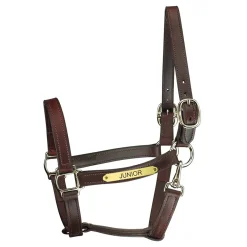 PERRIS LEATHER Perri’s® Track Style Leather Turnout Halter with Snap Throat and Nameplate