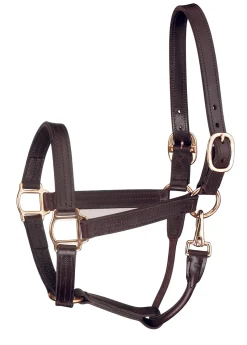 PERRIS LEATHER Perri’s® Track Style Show Halter with Snap Throat