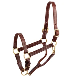 PERRIS LEATHER Perri’s® Premium Leather Show Halter