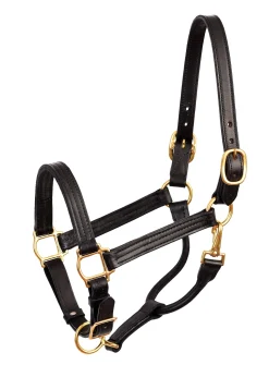 PERRIS LEATHER Perri’s® Premium Leather Show Halter