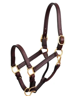 PERRIS LEATHER Perri’s® Premium Leather Show Halter
