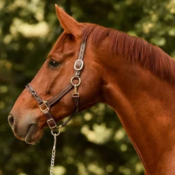 PERRIS LEATHER Perri’s® Twisted Leather Halter