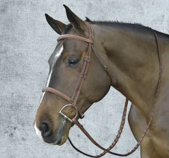 ERS Pessoa® Pro Fancy-Stitched Raised Bridle