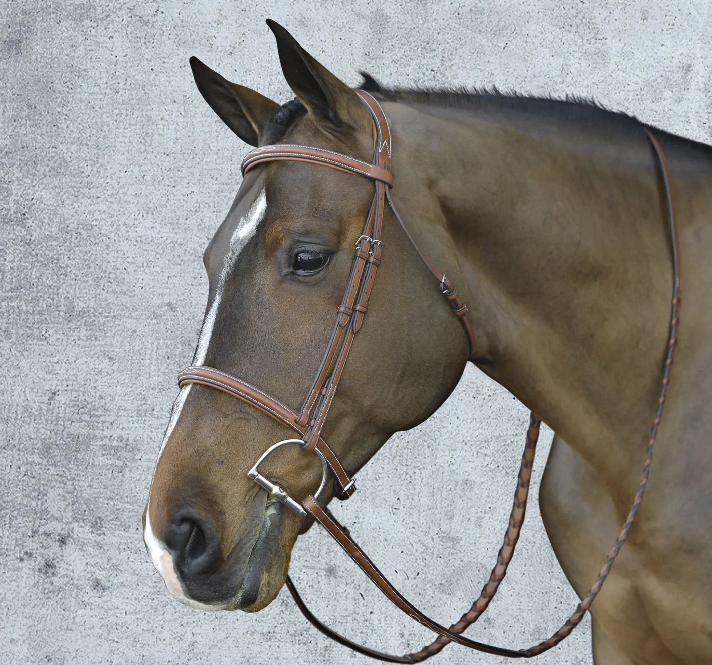 ERS Pessoa® Pro Fancy-Stitched Raised Bridle