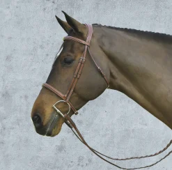 ERS Pessoa® Pro Fancy-Stitched Raised Bridle
