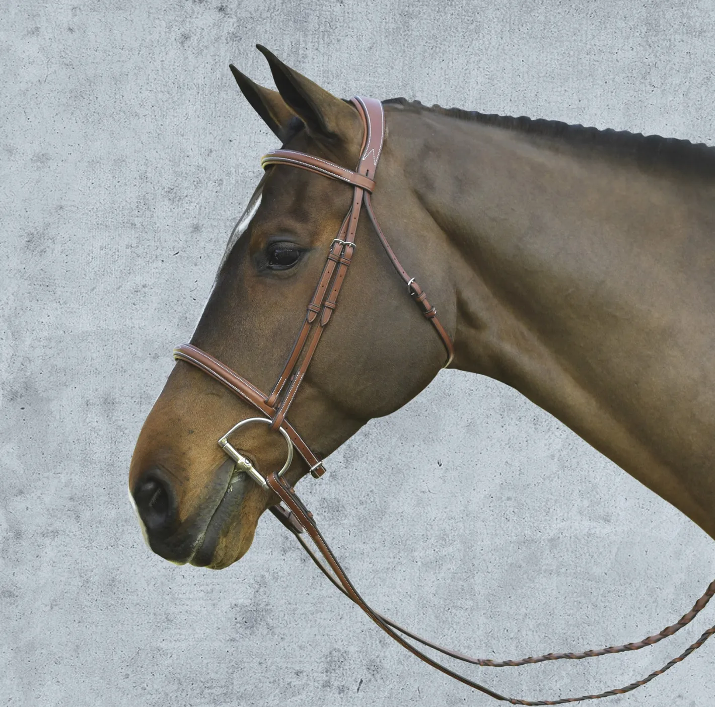 ERS Pessoa® Pro Fancy-Stitched Raised Bridle