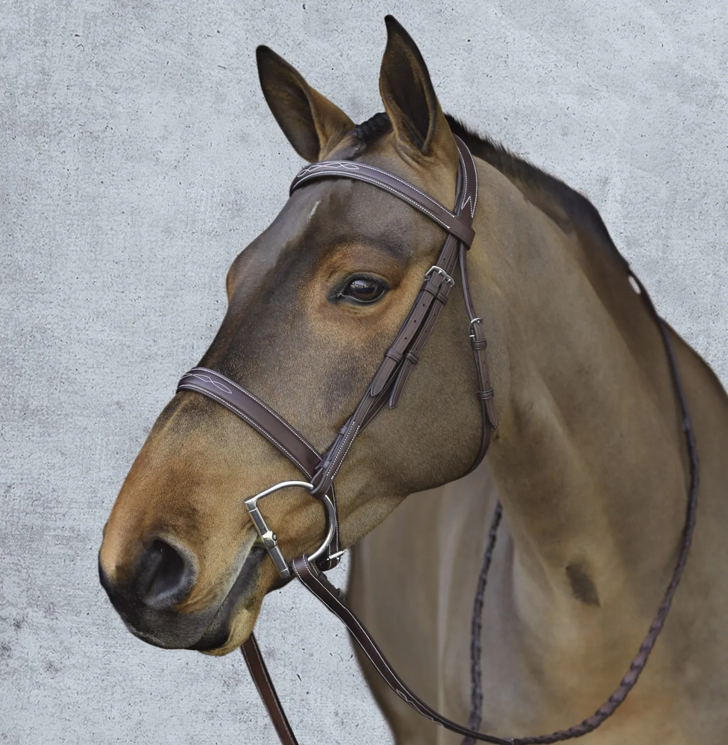 ERS Pessoa® Pro Fancy-Stitched Wide Nose Bridle
