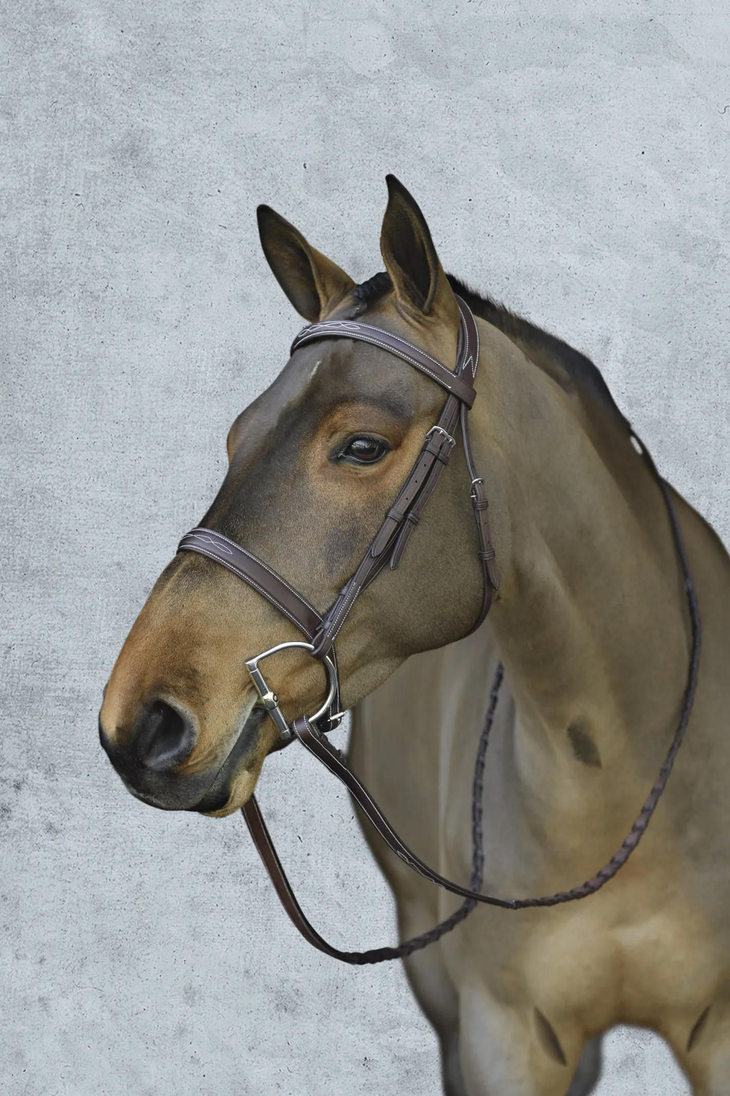 ERS Pessoa® Pro Fancy-Stitched Wide Nose Bridle