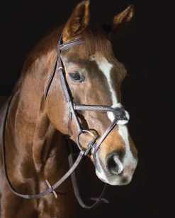 ERS Pessoa® Pro Fancy-Stitched Figure-8 Bridle
