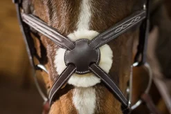 ERS Pessoa® Pro Fancy-Stitched Figure-8 Bridle