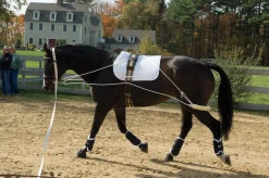 ERS Pessoa® Training System