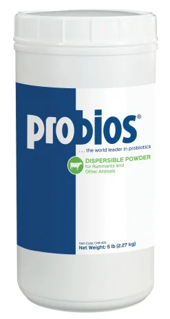 ANIMAL HEALTH INT Probios® Dispersible Powder