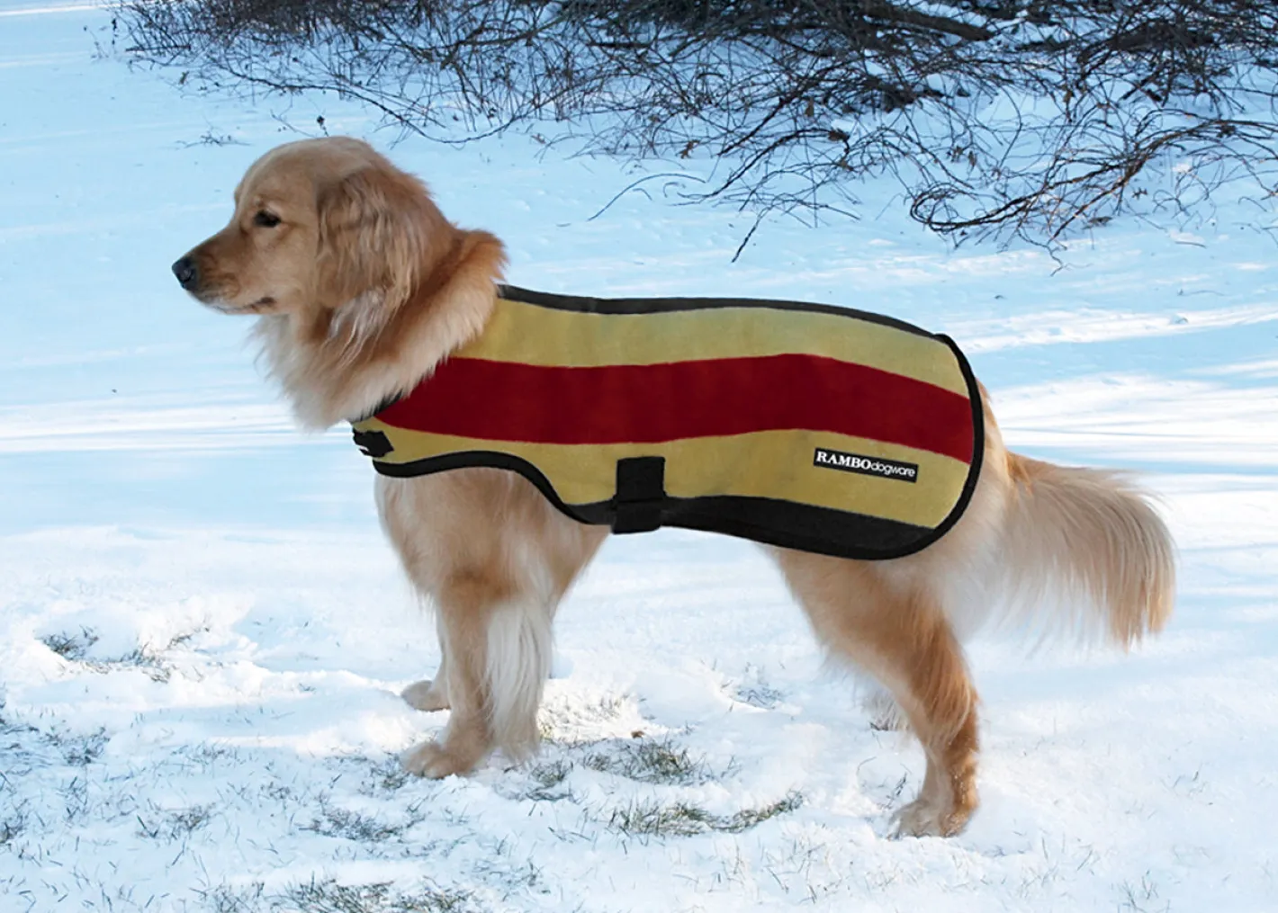 HORSEWARE Rambo® Deluxe Dog Blanket