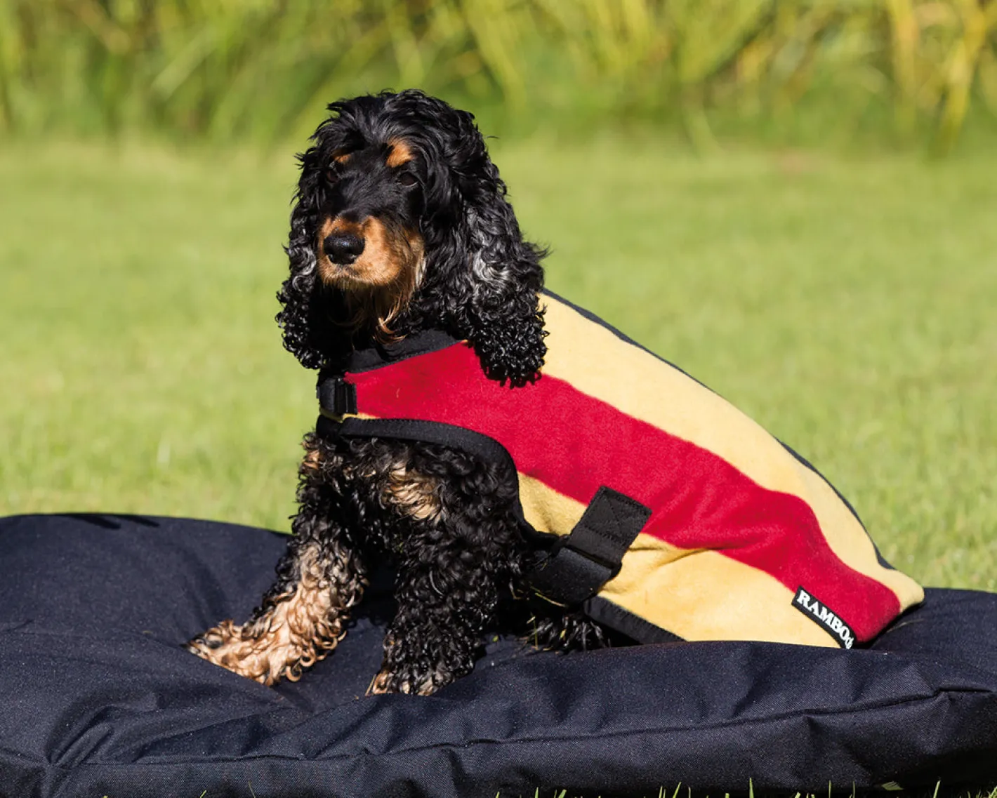 HORSEWARE Rambo® Deluxe Dog Blanket