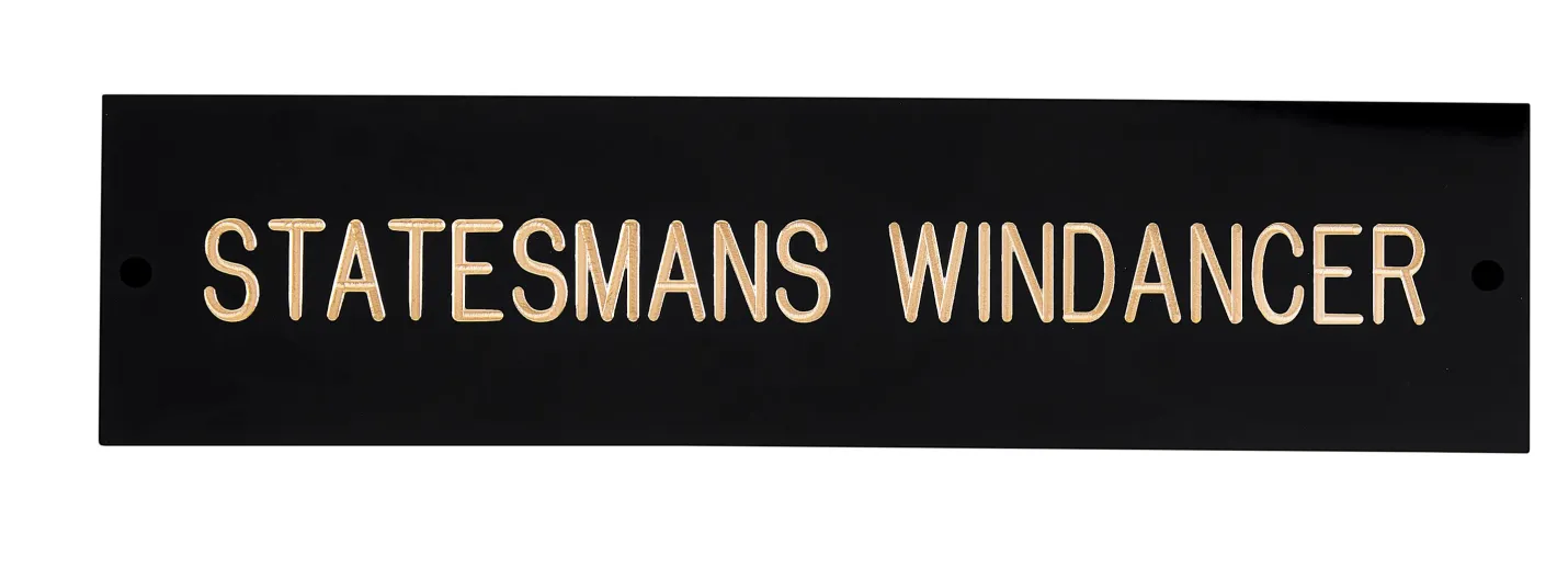 CRW Rectangular Black & Brass Stall Plate - 3 lines