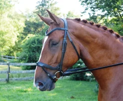 KL SELECT Red Barn Arena Ergonomic Snaffle