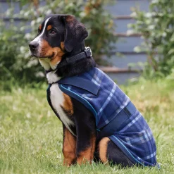 INTEX EQUESTRIAN Rider’s International™ Dog Cooler