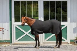 INTEX EQUESTRIAN Rider’s International™ Chill Chaser