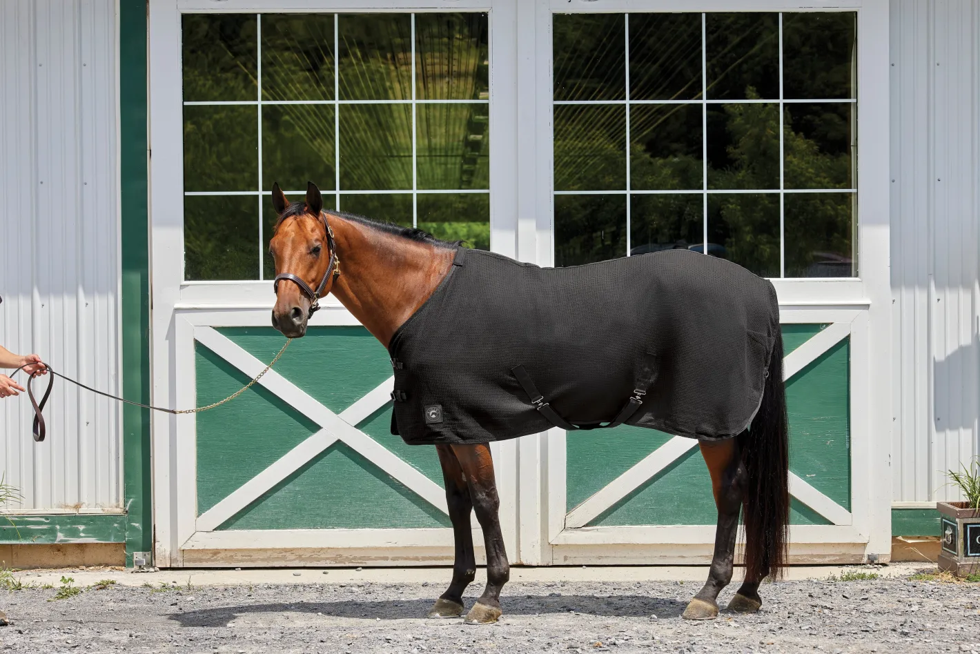 INTEX EQUESTRIAN Rider’s International™ Chill Chaser
