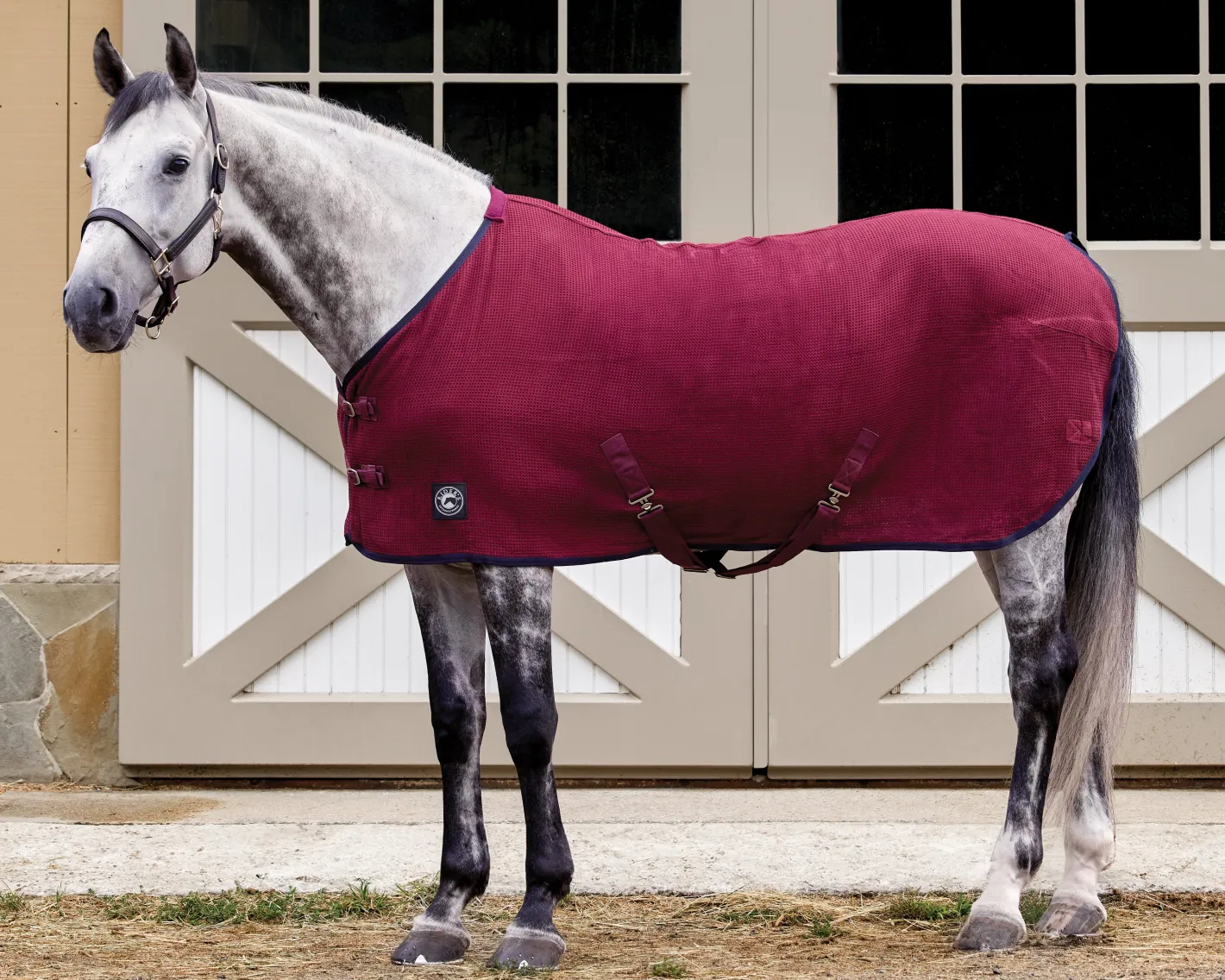 INTEX EQUESTRIAN Rider’s International™ Chill Chaser
