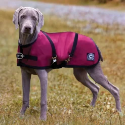 CWEAR BRANCH Rider’s International™ Dog Turnout Sheet