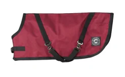 CWEAR BRANCH Rider’s International™ Dog Turnout Sheet