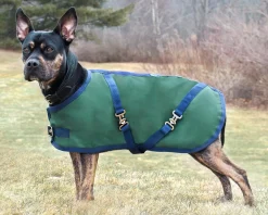 CWEAR BRANCH Rider’s International™ Dog Turnout Sheet