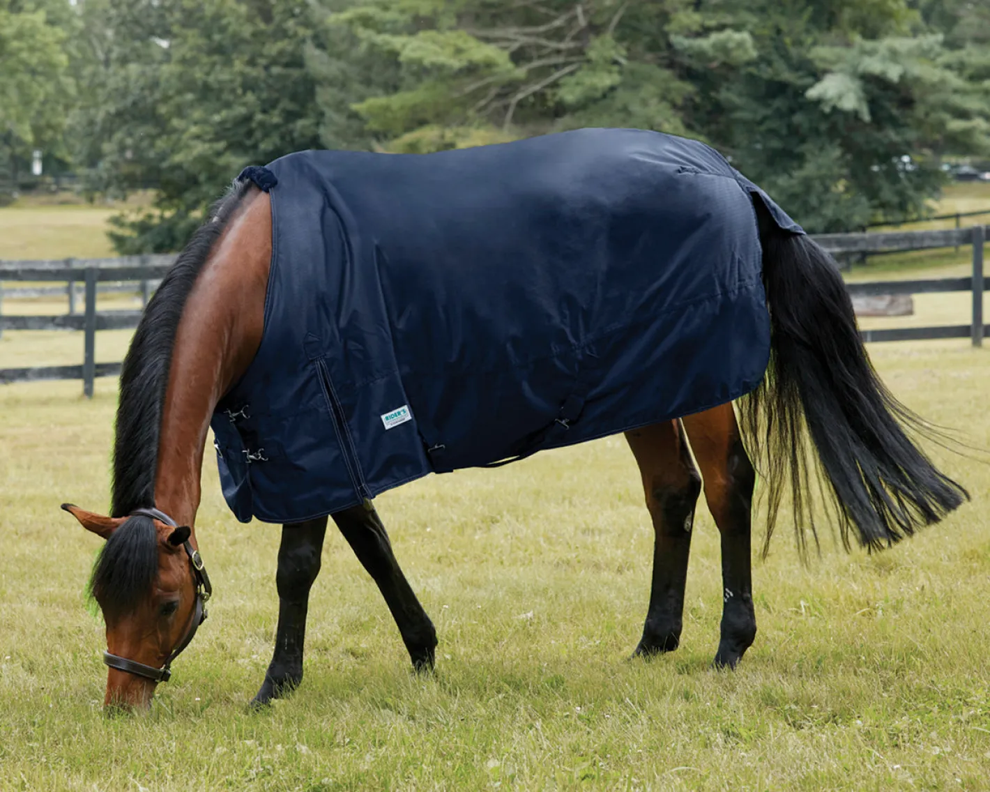 S.K. EXPORTS Rider’s International™ Heavyweight Turnout Blanket