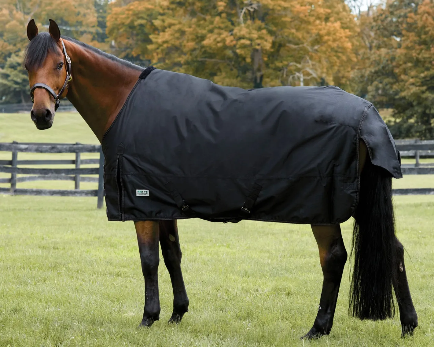 S.K. EXPORTS Rider’s International™ Heavyweight Turnout Blanket