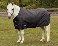 S.K. EXPORTS Rider’s International™ Pony Turnout Sheet