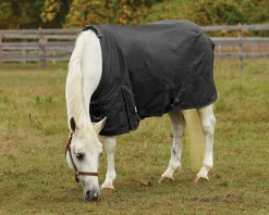 S.K. EXPORTS Rider’s International™ Pony Turnout Sheet