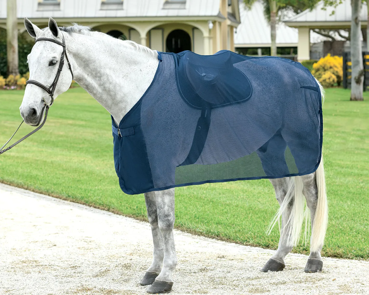 S.K. EXPORTS Rider’s International™ Ringside Scrim Sheet