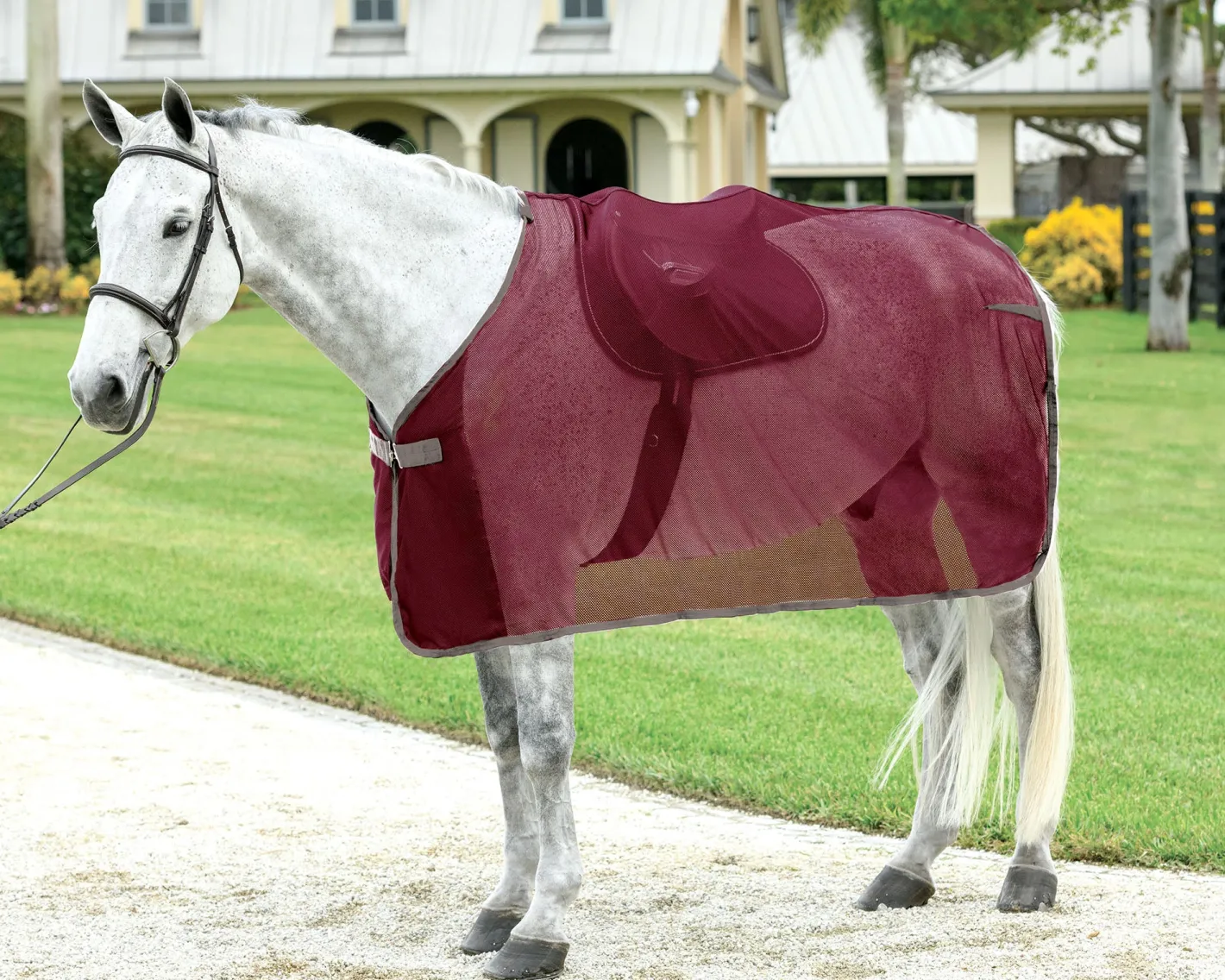 S.K. EXPORTS Rider’s International™ Ringside Scrim Sheet