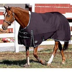 CWEAR BRANCH Rider’s International™ Supreme Heavyweight Turnout Blanket