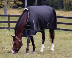 CWEAR BRANCH Rider’s International™ Supreme 100 Gram Turnout Blanket
