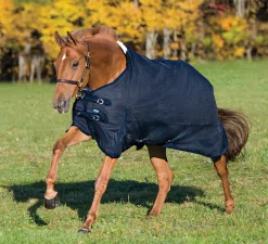 CWEAR BRANCH Rider’s International™ Supreme Medium-Weight Turnout Blanket