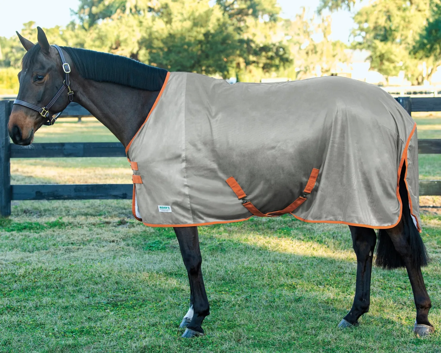 INTEX EQUESTRIAN Rider’s International™ Fly Sheet