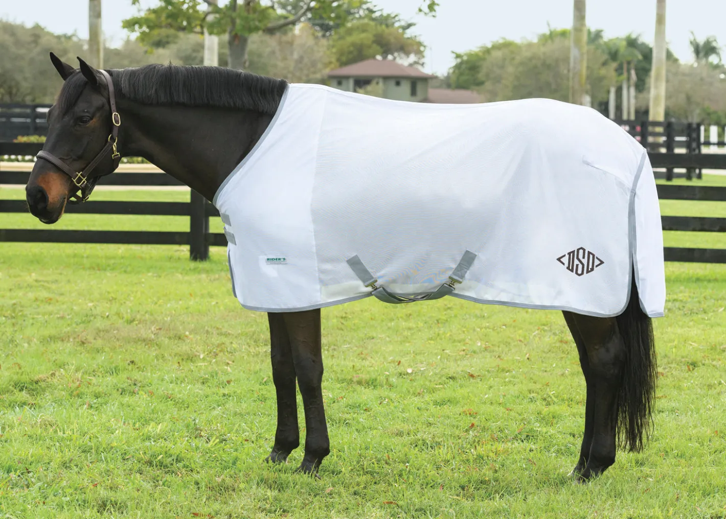 INTEX EQUESTRIAN Rider’s International™ Fly Sheet