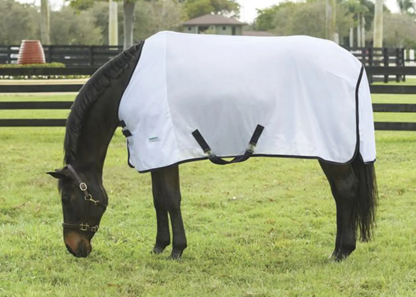INTEX EQUESTRIAN Rider’s International™ Fly Sheet