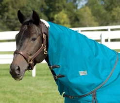 CWEAR BRANCH Rider’s International™ Supreme Neck Cover