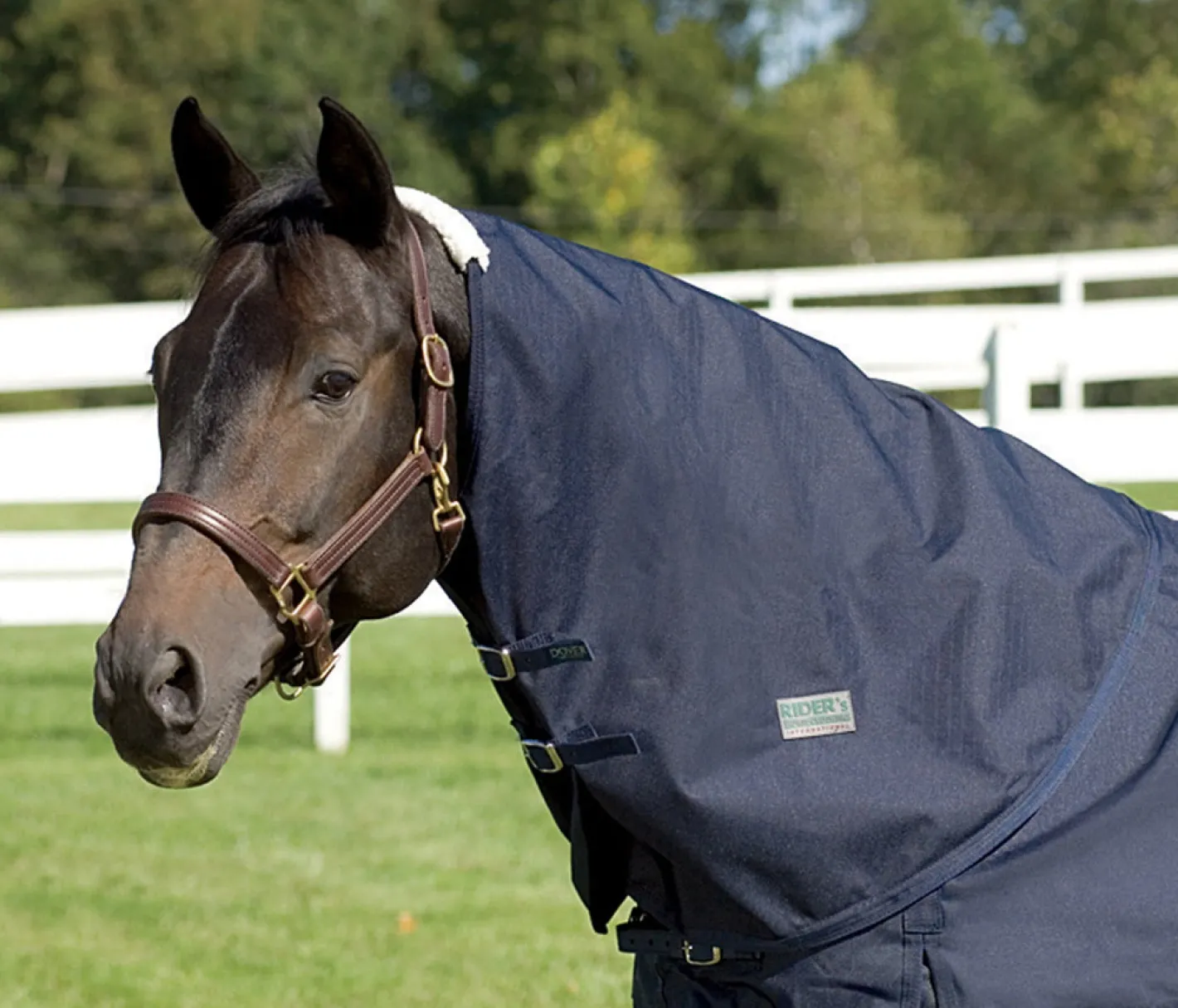 CWEAR BRANCH Rider’s International™ Supreme Neck Cover