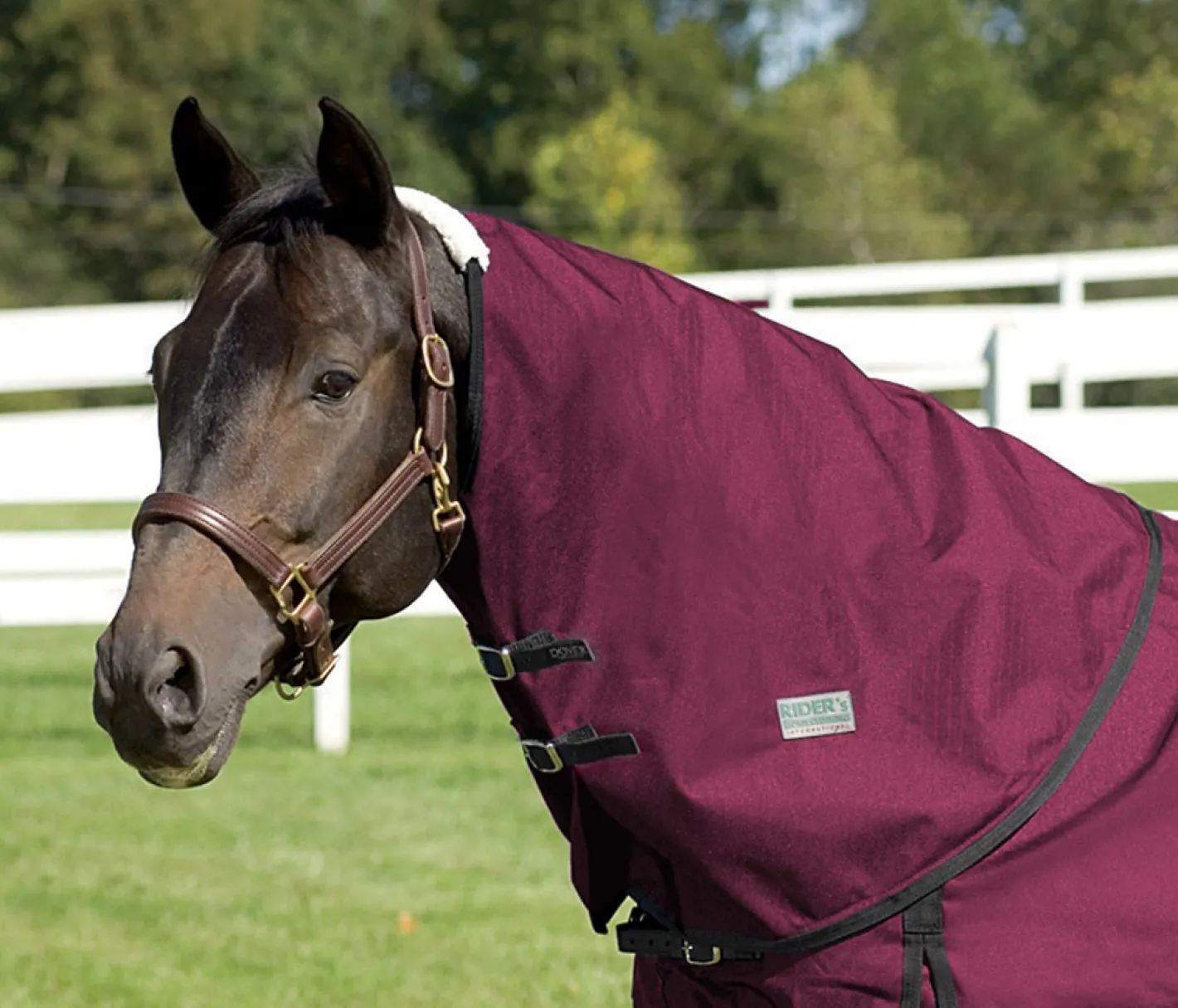 CWEAR BRANCH Rider’s International™ Supreme Neck Cover