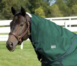 CWEAR BRANCH Rider’s International™ Supreme Neck Cover