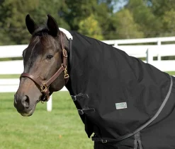 CWEAR BRANCH Rider’s International™ Supreme Neck Cover