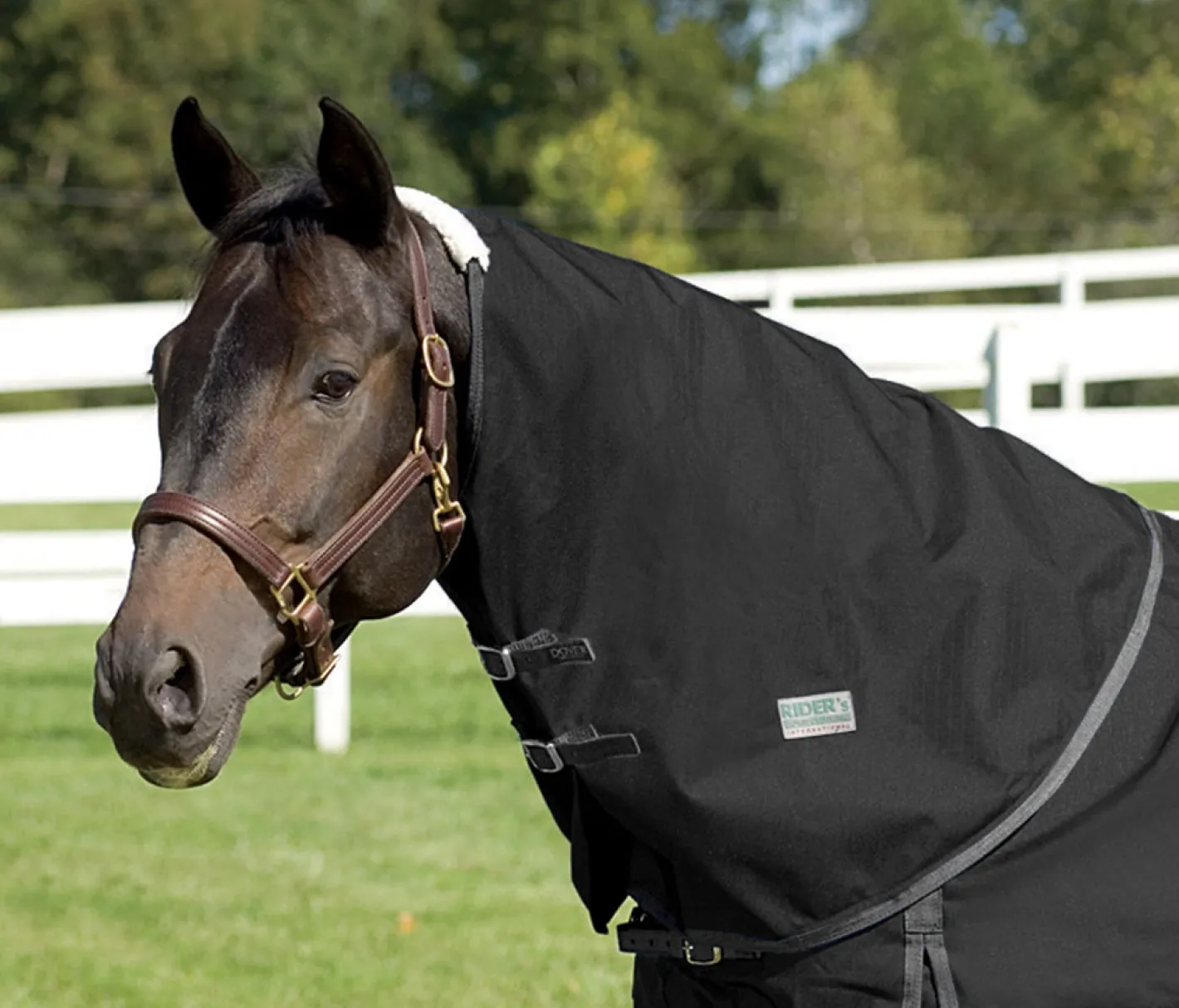 CWEAR BRANCH Rider’s International™ Supreme Neck Cover