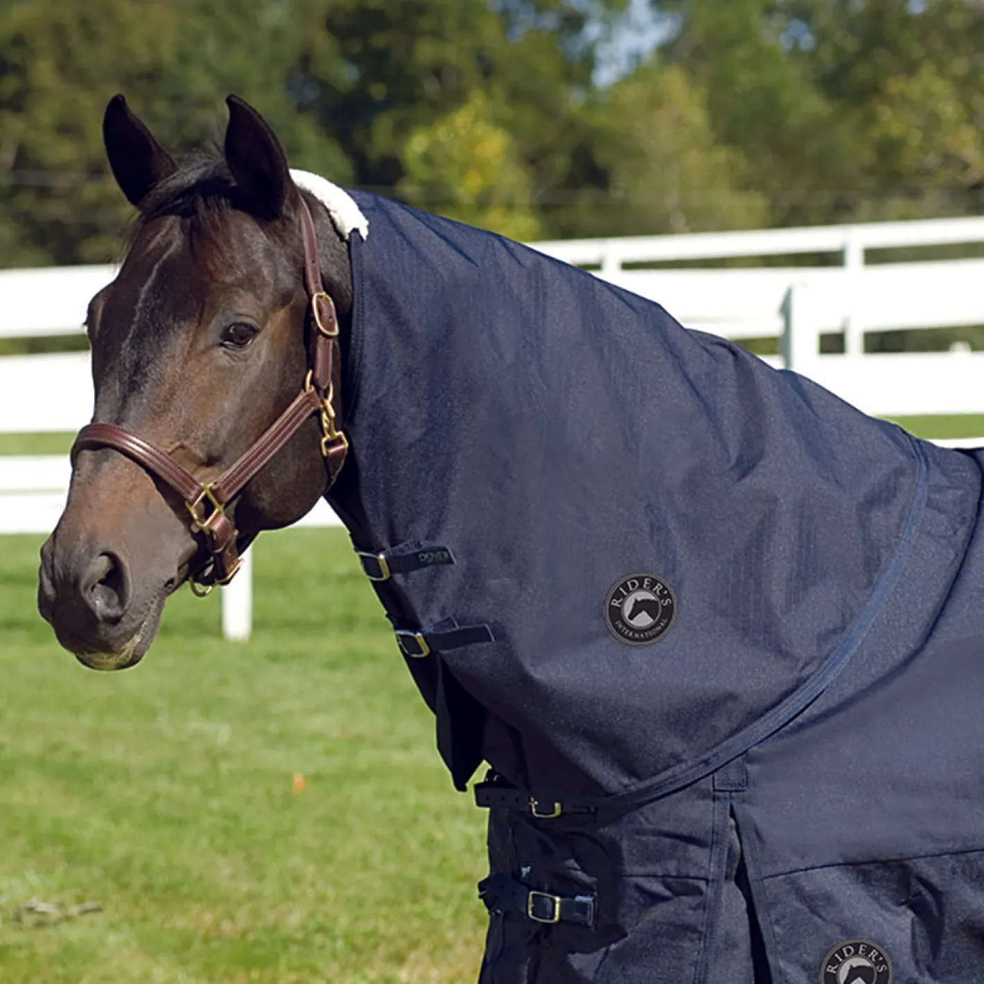 CWEAR BRANCH Rider’s International™ Supreme Neck Cover