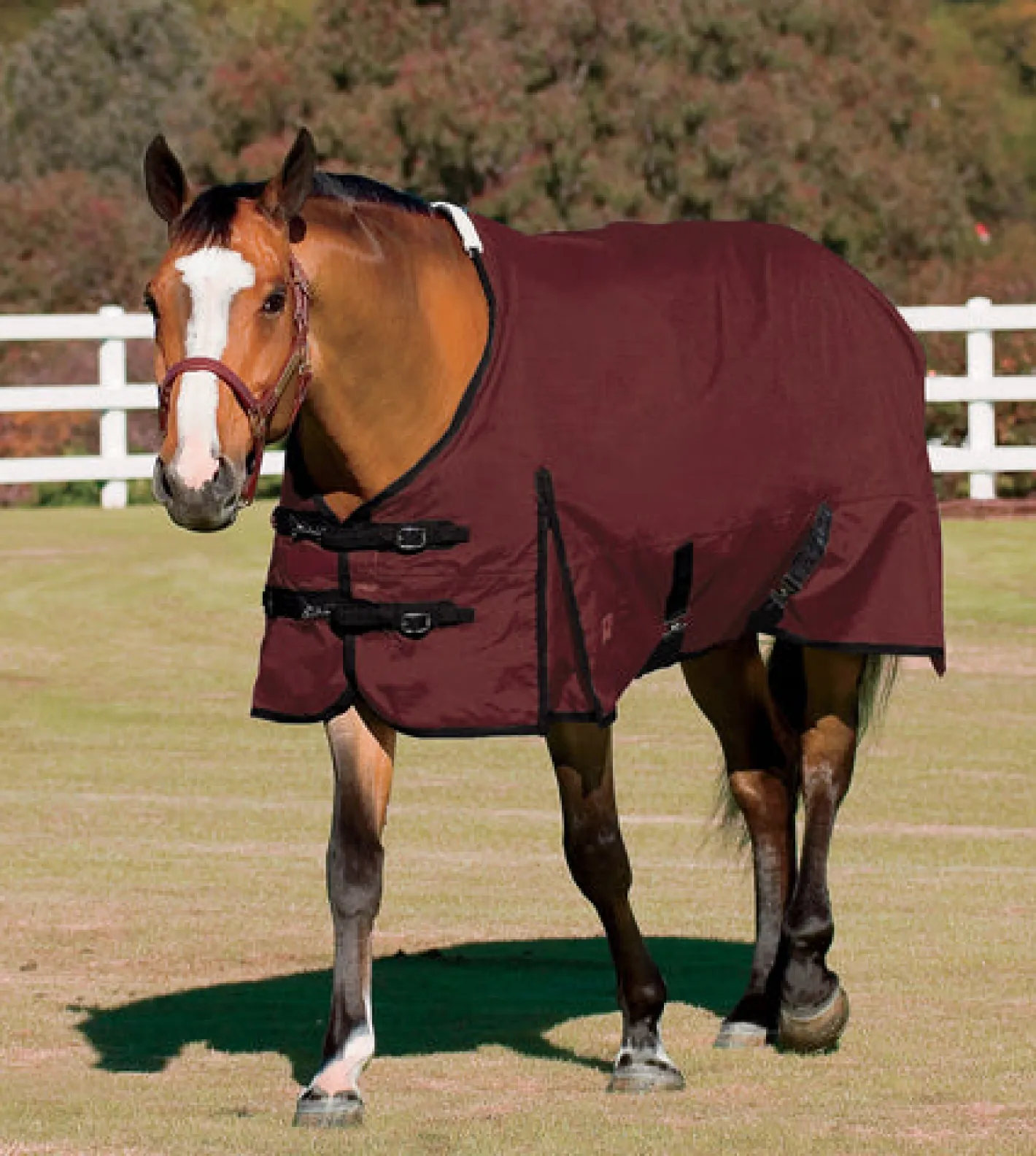 CWEAR BRANCH Rider’s International™ Supreme Turnout Sheet